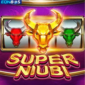 Super Niubi