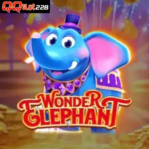 wonder elephant