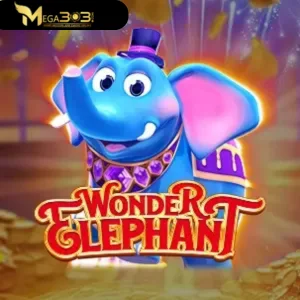 wonder elephant