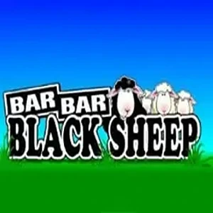 Barbar Black sheep