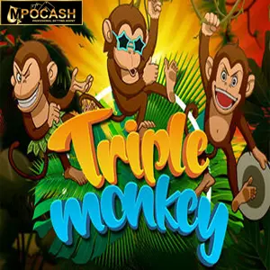 Triple Monkey