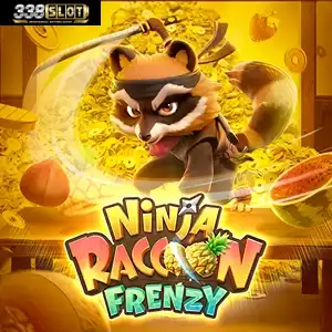 Ninja Raccoon Frenzy