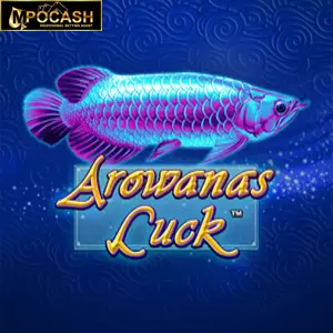 Arowanas Luck