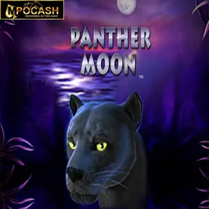 Panther Moon