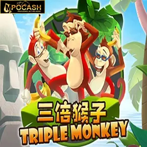 Triple Monkey